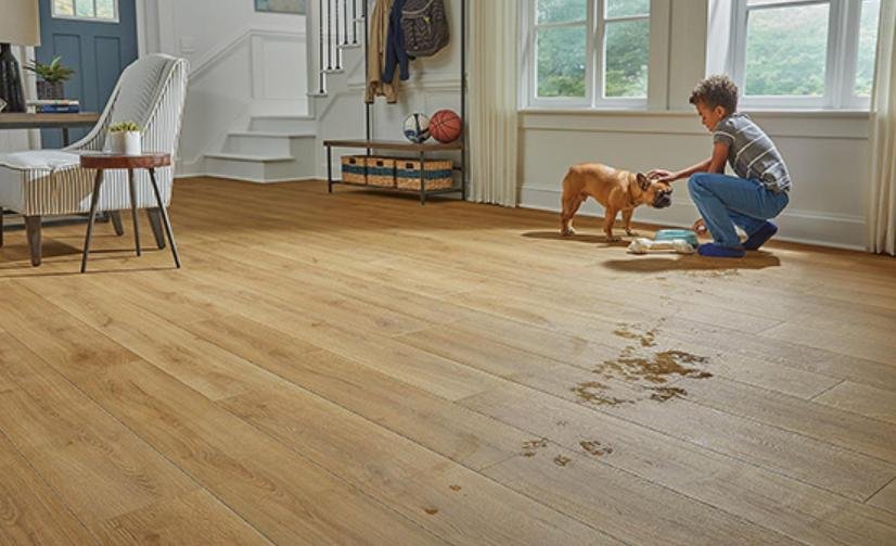 Durability Redefined Innovations in Laminate Flooring Technology